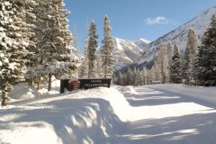 long-awaited-winter-110-copy